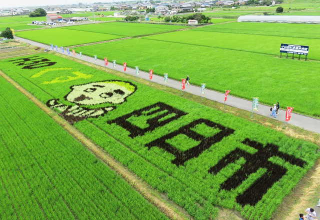 田んぼアートプロジェクト